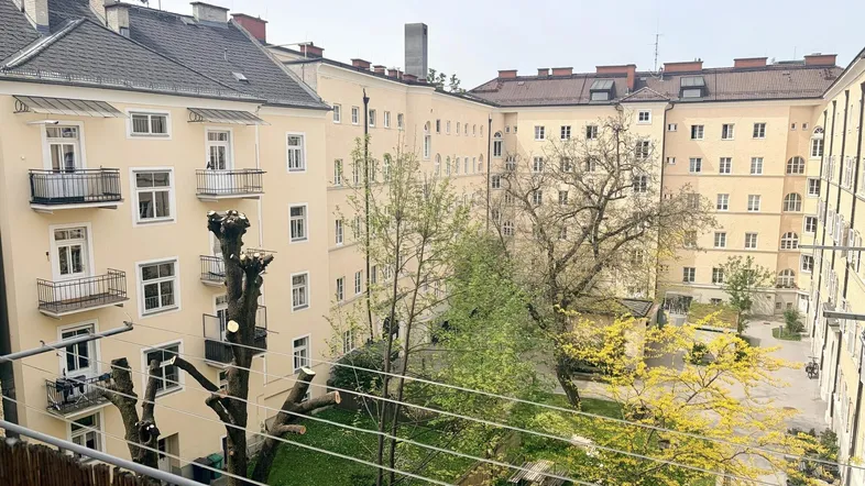 Blick vom Balkon in den begrünten Innenhof mit Bäumen und umliegenden Wohngebäuden.