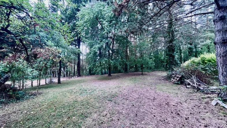 Garten rückwärtiger Teil