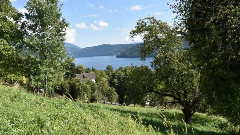 einzigartiger Blick