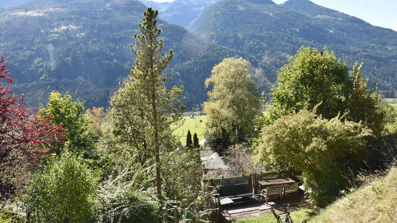 Bergblick