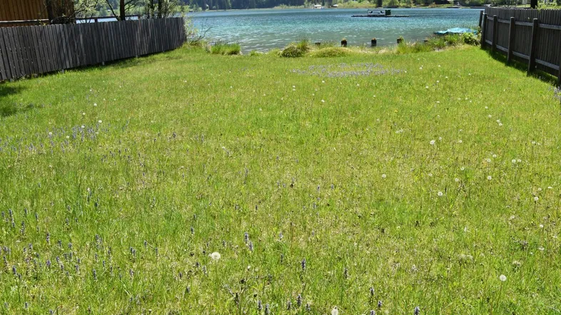 Große Rasenfläche mit direktem Zugang zum See und Blick auf die umliegenden Berge.