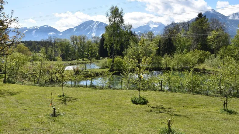 Weitläufiger Gartenbereich mit jungen Bäumen, Teichblick und majestätischem Bergpanorama im Hintergrund.
