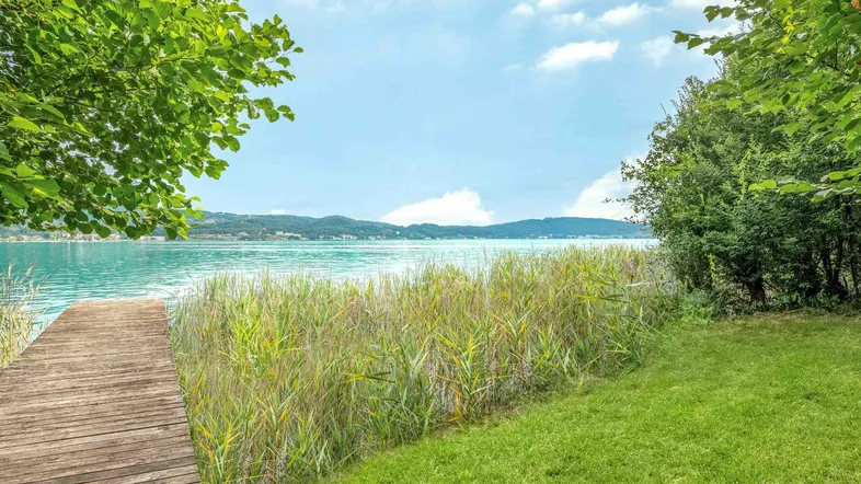 Idyllischer Holzsteg am Ufer eines klaren Sees, umgeben von Schilf und grüner Natur.