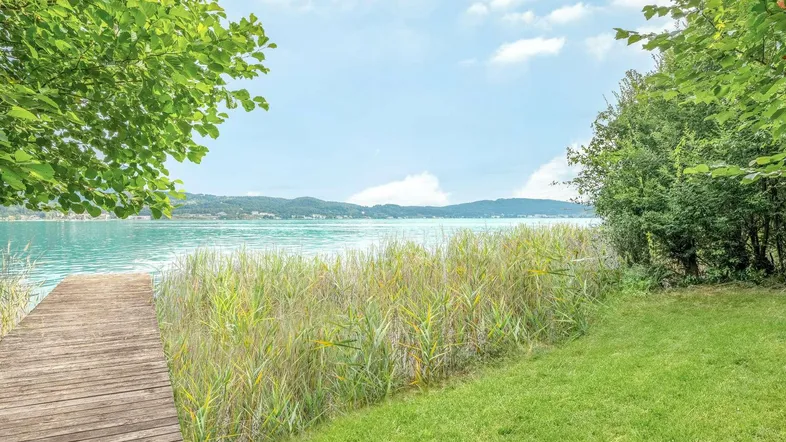 Holzsteg führt ins klare Seewasser, umgeben von Schilf und grüner Ufervegetation unter blauem Himmel.