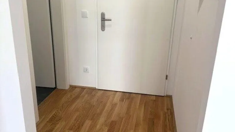 Heller Eingangsbereich mit Holzboden und weißer Tür, der zu weiteren Räumen führt.