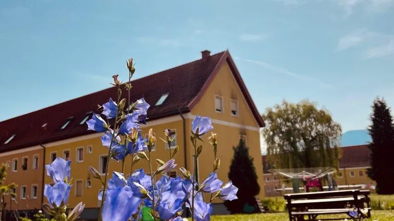 Sonnenverwöhnter Gartenbereich mit blühenden Blumen und Blick auf das gelbe Gebäude.