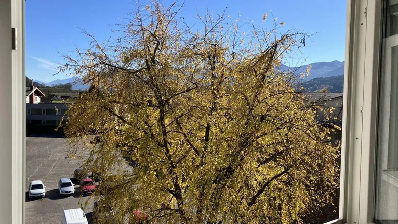 Blick aus einem Fenster auf einen Baum mit Herbstlaub, einen Parkplatz und Berge im Hintergrund.
