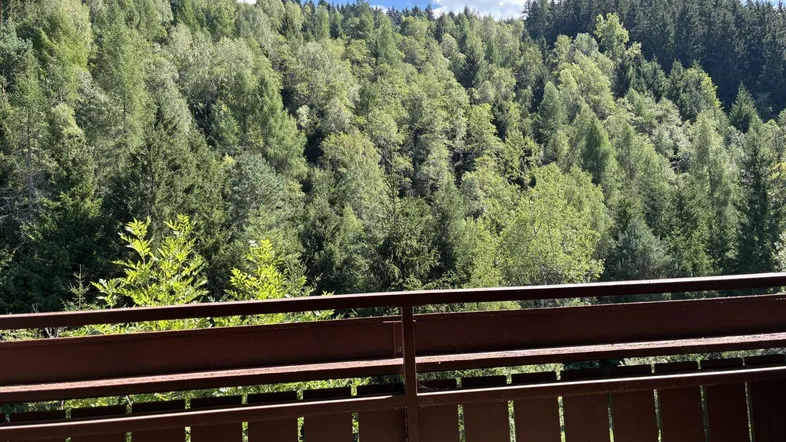 Blick von einem Balkon auf einen dichten Wald und grüne Hügel unter blauem Himmel.