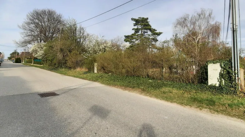 Blick auf eine ländliche Straße mit einem bewachsenen Grundstück und Bäumen im Hintergrund.