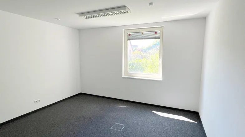 Helles Büro mit Teppichboden und einem Fenster, das Tageslicht hereinlässt und eine angenehme Atmosphäre schafft.