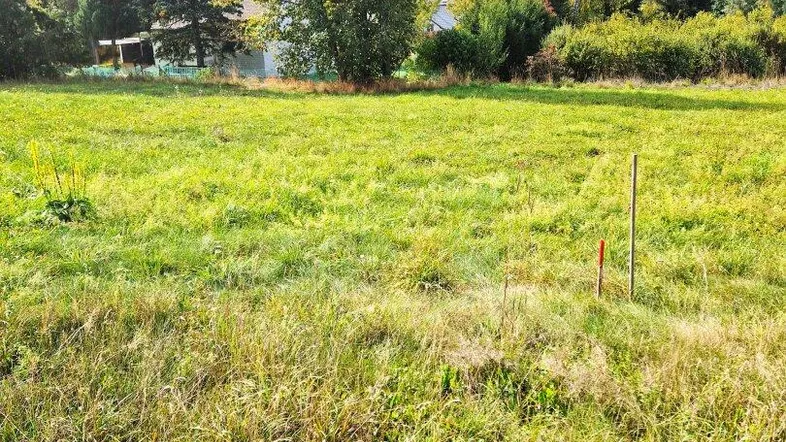 Weitläufige grüne Wiese mit Bäumen im Hintergrund und Blick auf bewaldete Hügel.
