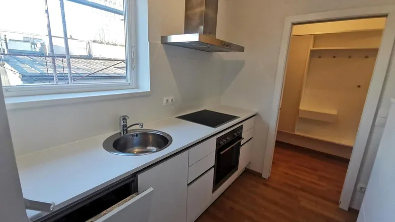 Moderne Küchenzeile mit Spüle, Induktionskochfeld, Backofen und Geschirrspüler unter einem Fenster.