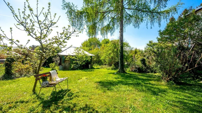 Sonnige Gartenanlage mit Rasenfläche, altem Baumbestand und einer gemütlichen Holzbank zum Entspannen.