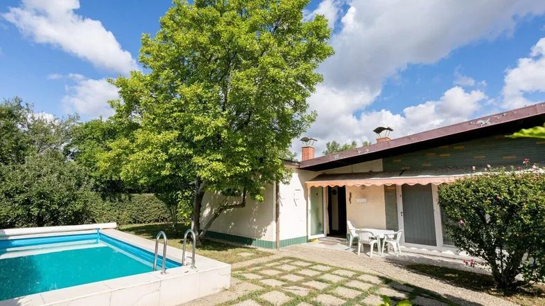 Außenbereich mit Swimmingpool, gepflasterter Terrasse und schattenspendendem Baum.