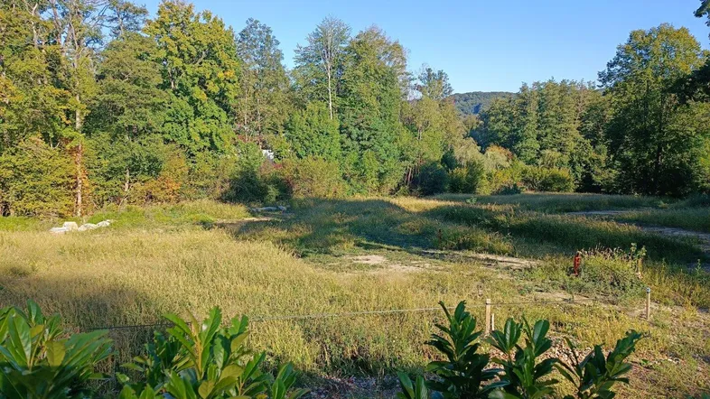 Weitläufiges Grundstück mit üppiger Vegetation und Blick auf bewaldete Hügel in natürlicher Umgebung.