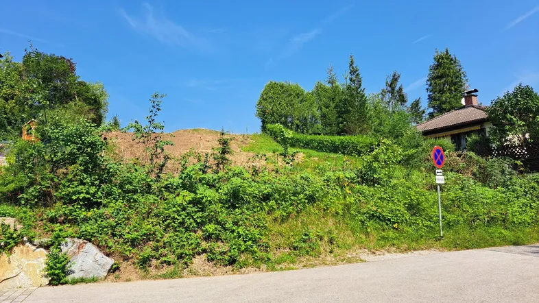 Blick auf ein sonniges Baugrundstück mit viel Grün und einem Haus im Hintergrund.