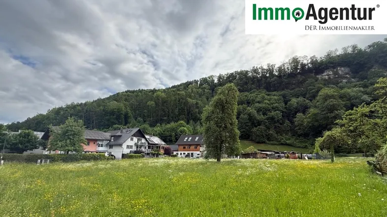 Weitläufiges grünes Feld mit Häusern im Hintergrund und bewaldetem Hügel unter bewölktem Himmel.