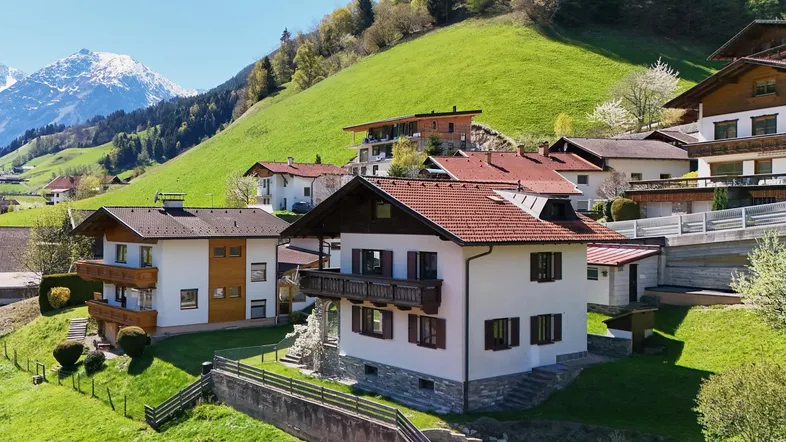 Häuser auf einem grünen Hang mit Blick auf schneebedeckte Berge und bewaldete Hügel.