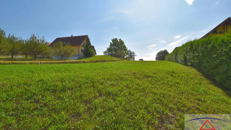 Sonniges Grundstück mit grüner Wiese und Blick auf umliegende Häuser unter blauem Himmel.