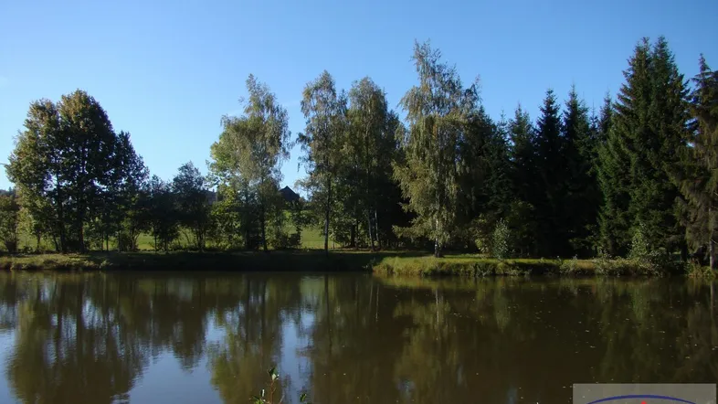 Klarer Teich umgeben von Bäumen unter blauem Himmel, mit Spiegelungen der Natur im Wasser.