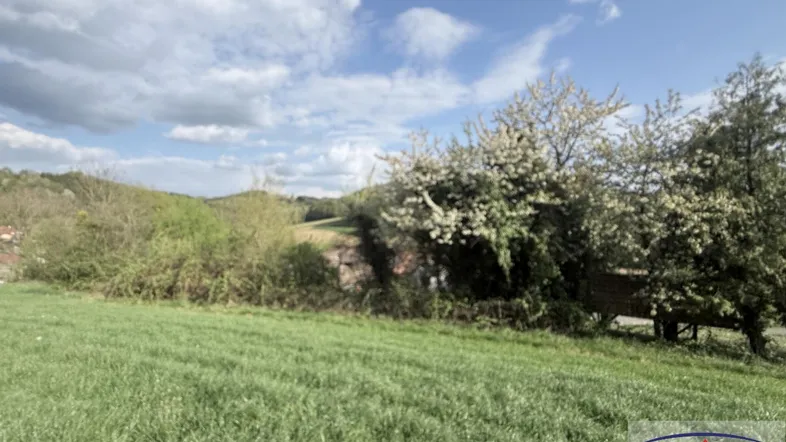 Grüne Wiese mit blühenden Bäumen unter einem bewölkten Himmel, bietet einen weiten Blick in die Landschaft.