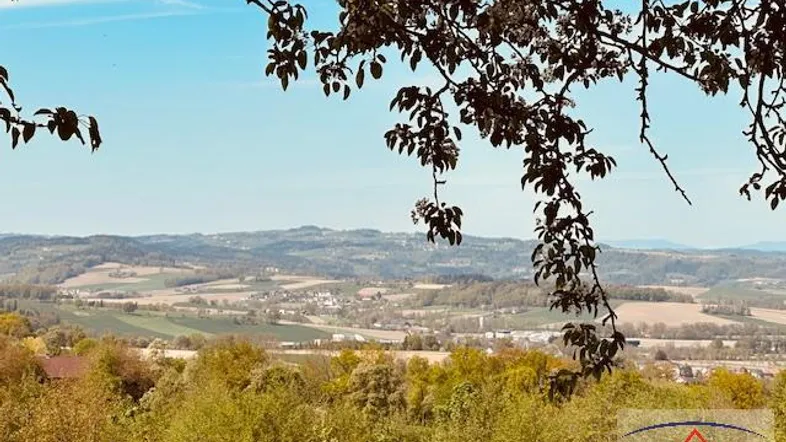 Blick über eine weite, grüne Hügellandschaft mit vereinzelten Häusern unter blauem Himmel.
