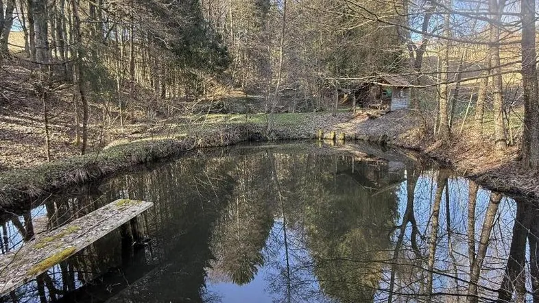 Natürlicher Teich umgeben von Bäumen und Vegetation, mit einer kleinen Hütte im Hintergrund.