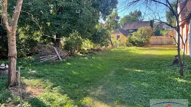 Großer Gartenbereich mit Rasenfläche und altem Baumbestand, umgeben von ländlicher Bebauung.