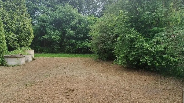 Großzügige Gartenfläche mit altem Baumbestand und Potenzial zur Gestaltung.