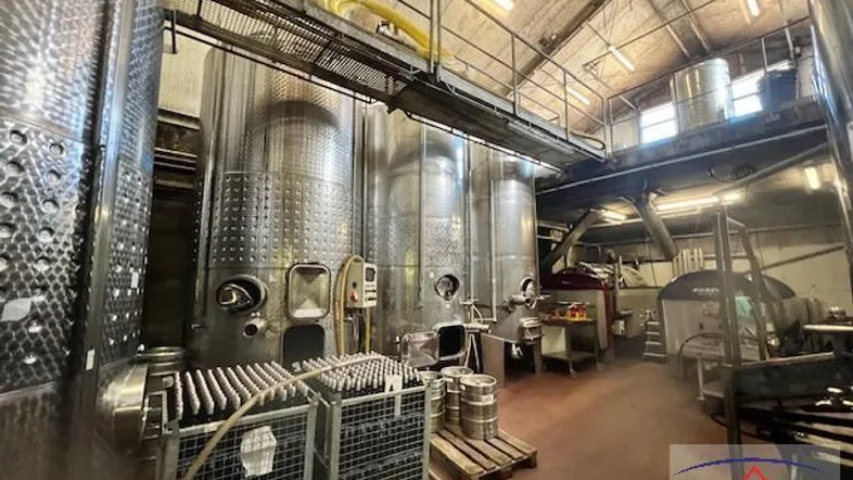 Großer Raum mit zahlreichen Edelstahltanks zur Wein- oder Bierherstellung und Lagerung.