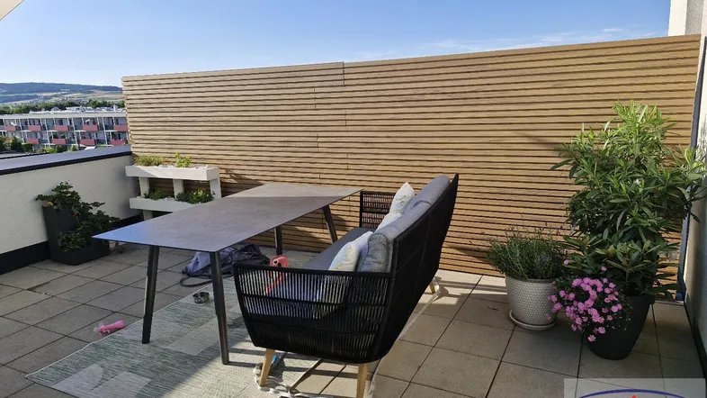 Geräumige Terrasse mit modernen Outdoor-Möbeln, Pflanzen und einem Sichtschutz aus Holz.