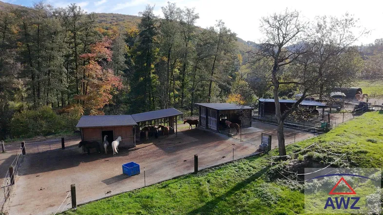 Weitläufiges Außengelände mit Pferdeställen und Koppeln, umgeben von dichtem Wald und Natur.