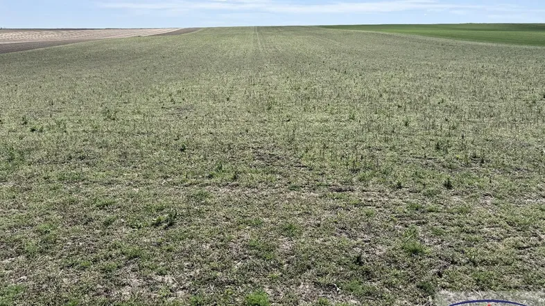 Weites Feld unter blauem Himmel mit leichter Bewölkung, ideal für landwirtschaftliche Nutzung.