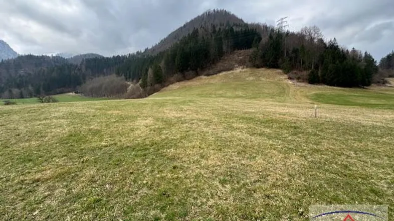 Weitläufige grüne Wiese mit bewaldeten Bergen im Hintergrund unter bewölktem Himmel.