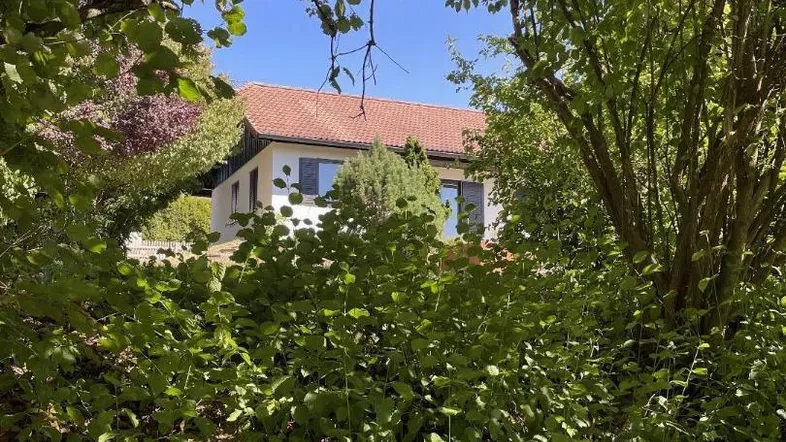 Hausfassade umgeben von üppigem Grün und Bäumen unter blauem Himmel an einem sonnigen Tag.