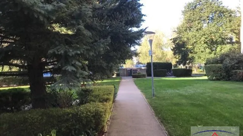 Gepflegter Außenbereich mit einem Fußweg, umgeben von Rasenflächen und Bäumen.