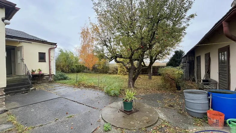 Großer Gartenbereich mit altem Baum, Betonwegen und Blick auf die umliegende Landschaft.