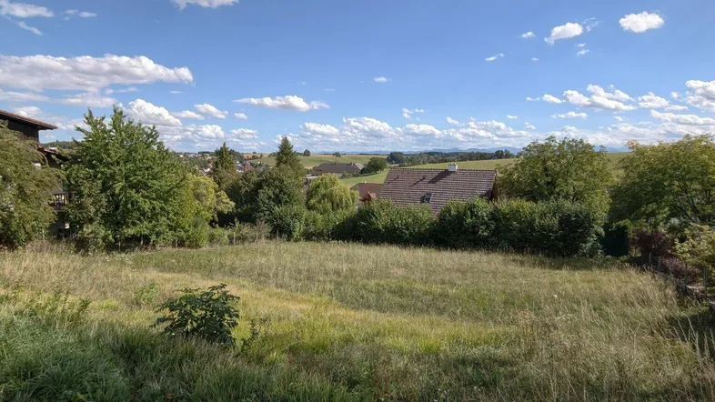 Weitläufige Landschaft mit grünen Wiesen, Bäumen und einem Haus unter blauem Himmel mit Wolken.