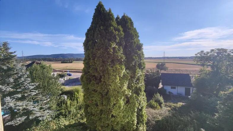 Weitläufiger Blick über grüne Felder und Bäume unter strahlend blauem Himmel.