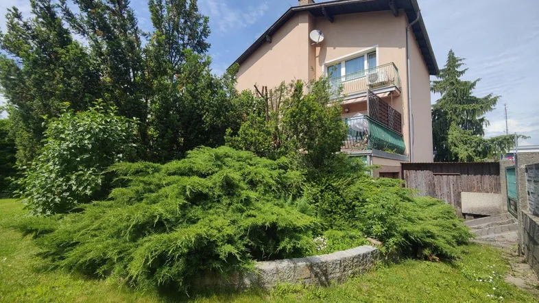 Seitlicher Gartenbereich mit üppigen Sträuchern und einer Steinmauer vor dem Haus.