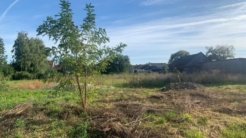 Weitläufiges, unbebautes Grundstück mit Gras und vereinzelten Bäumen unter blauem Himmel und Wolken.
