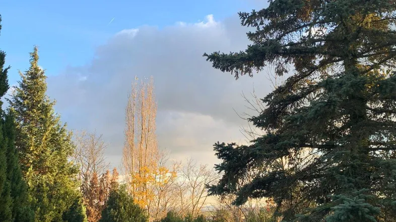 Blick auf die umliegende Landschaft mit Bäumen und einem weiten Himmel bei Sonnenuntergang.