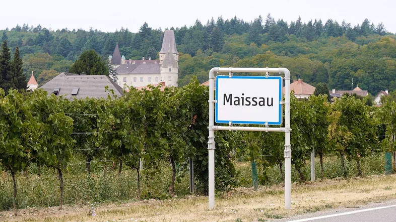 Ortseingangsschild von Maissau mit Weinbergen und einem historischen Schloss im Hintergrund.