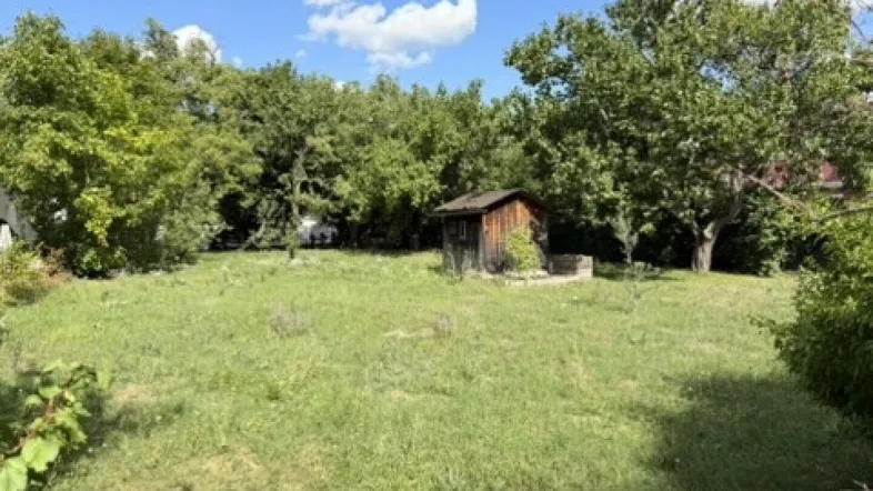 Großer Garten mit Rasenfläche, altem Baumbestand und einem kleinen Holzschuppen unter blauem Himmel.