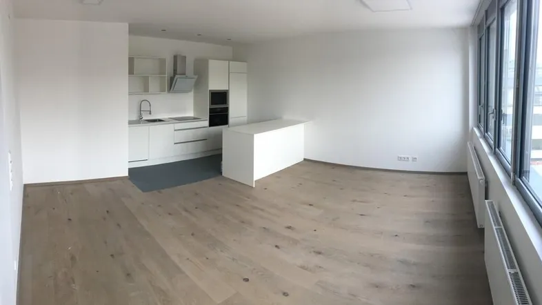Heller offener Wohnbereich mit integrierter Küche, Holzboden und großen Fenstern.