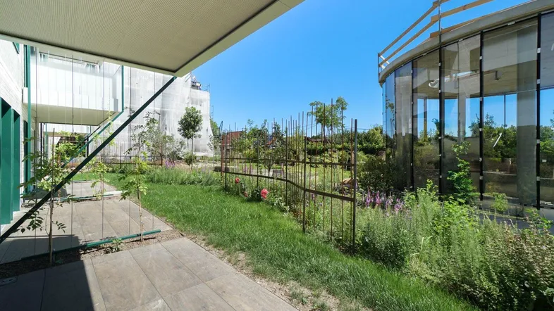 Gepflegter Gartenbereich mit Pflanzen, einem Weg und Blick auf moderne Gebäude.
