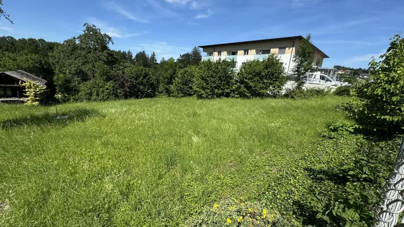 Weitläufige Grünfläche mit hohem Gras und Blick auf ein Gebäude im Hintergrund unter blauem Himmel.