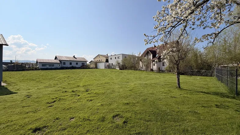 Weitläufige grüne Wiese mit umliegenden Häusern unter klarem, blauem Himmel.