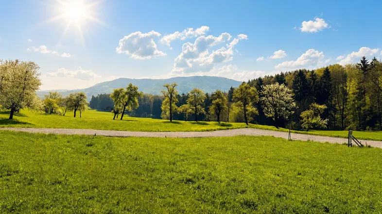 Idyllische grüne Landschaft mit blühenden Bäumen, einem Feldweg und Bergen im Hintergrund unter strahlend blauem Himmel.
