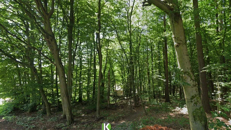 Waldgrundstück